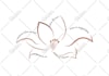 draw detailed or simple line art illustration for you