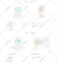 do wordpress website speed optimization google page core web vitals gtmetrix