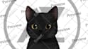 draw and rig 2d vtuber model anime live2d model anime 2d live2d vtuber rigging