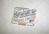 design a retro vintage bohemian logo