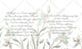 write anything in copperplate calligraphy