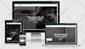 build a professional wordpress ecommerce online store