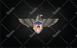 emblem badge logo design crest medal pin insignia symbol