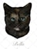 create a custom cartoon vector portrait of your pet