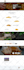 build professional restaurant website with online ordering