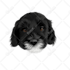draw illustration your pets, dog, to cartoon vector potrait