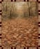 create beautiful heirloom woven blanket design