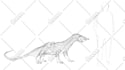 make a sketch of your monsters and creatures