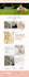 build shopify store or dropshipping ecommerce store