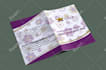 design amazing business flyer, poster, leaflet