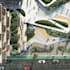design and render architectural site plans, master plans and urban designs