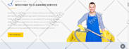 redesign copy clone duplicate  wordpress website design