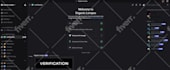 create or revamp your discord server professionally