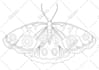 create custom colouring pages for kids