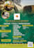 food,salon,spa flyer design, menu design
