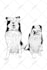 draw detailed pet line art from your image