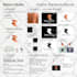 create a stunning logo and its animation