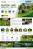 design and redesign website for small business