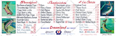 deliver all kinds of professional graphic design services