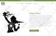 design ecommerce wordpress website using woocommerce online store