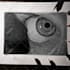 draw a custom realistic pencil portrait sketch from photo