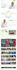 build wordpress website development, business website, portfolio or blog