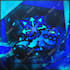 make a gd profile picture for you