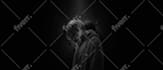 design spotify soundtrap header or banner