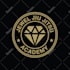 design professional jiu jitsu logo