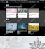 do custom wordpress website design, web development