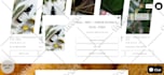 do shopify theme customization or design shopify theme