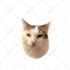 draw dog, cat, any pet to vector portrait