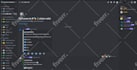 setup best discord server within 24 hours