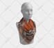 create trendy scarf, twilly, and hijab pattern designs