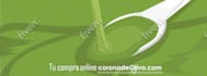 design custom 2d vector illustrations for your projects
