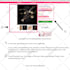 be your shopify expert and theme developer