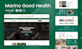 build wordpress website design and website development