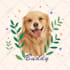 create a cute custom pet illustration in my style