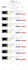 fix your lovable, replit, bolt or cursor vibe coded app bugs
