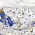 create beautiful digital fantasy art
