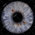 create an amazing unique iris art for you