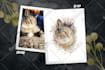 draw a watercolor pet portrait from your photo