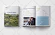 design a professional business flyer