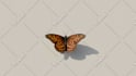 do 3d animal animation cgi animal model, 3d creatures animation vfx animal model