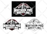 do logo creation vectorized tracing and touch up