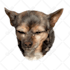 make vector illustration dog cat animal pet cartoon portrait