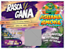 create cool, unique illustrated flyers and brochures