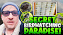 design high CTR youtube thumbnails for more views
