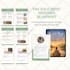 design canva ebook, lead magnet, canva workbook pdfs, freebie and canva template