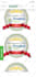 convert psd, xd to html and psd, xd to wordpress website